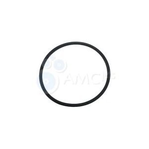 O Ring