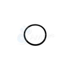 O-Ring For Check Valve Body