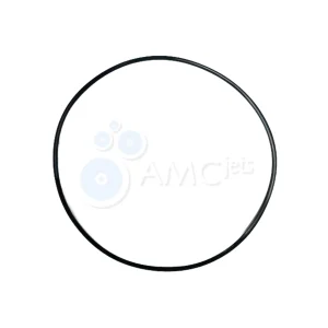 Backup Ring