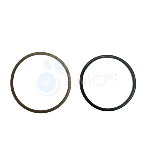 Seal Assembly, Hydraulic Piston