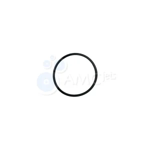 O-Ring - Sealing Head